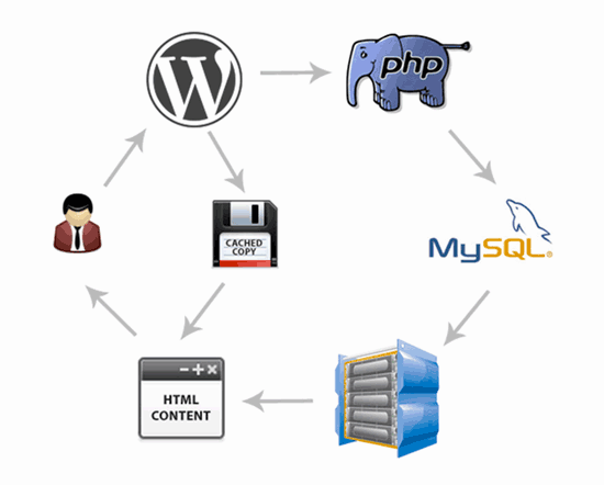 schema di memorizzazione nella cache di wordpress