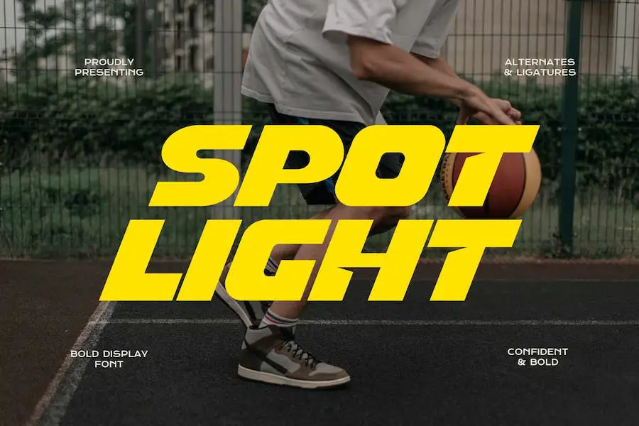 Spotlicht -