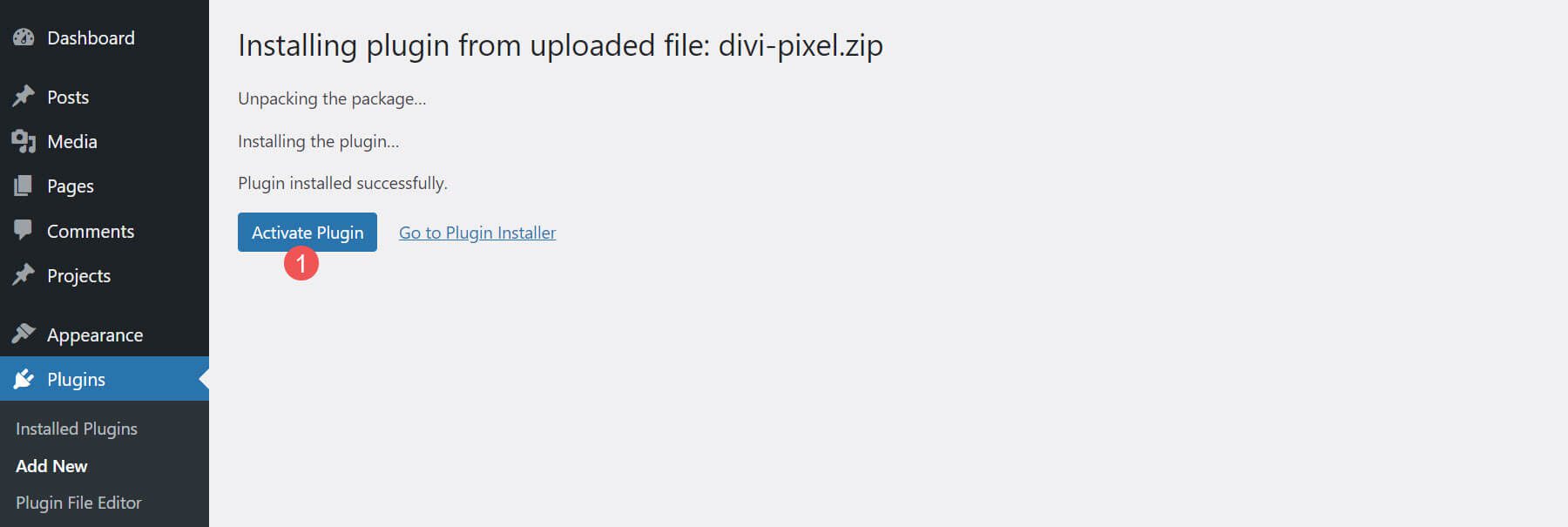 Instalación de Divi Pixel