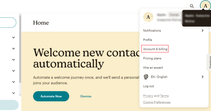 Click your Mailchimp avatar