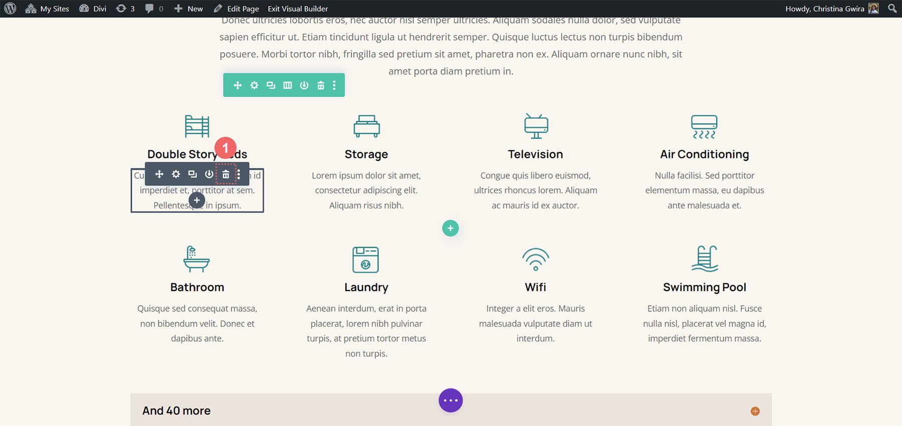 Entfernen Sie alte Module aus der Divi Hostel-Seitenvorlage