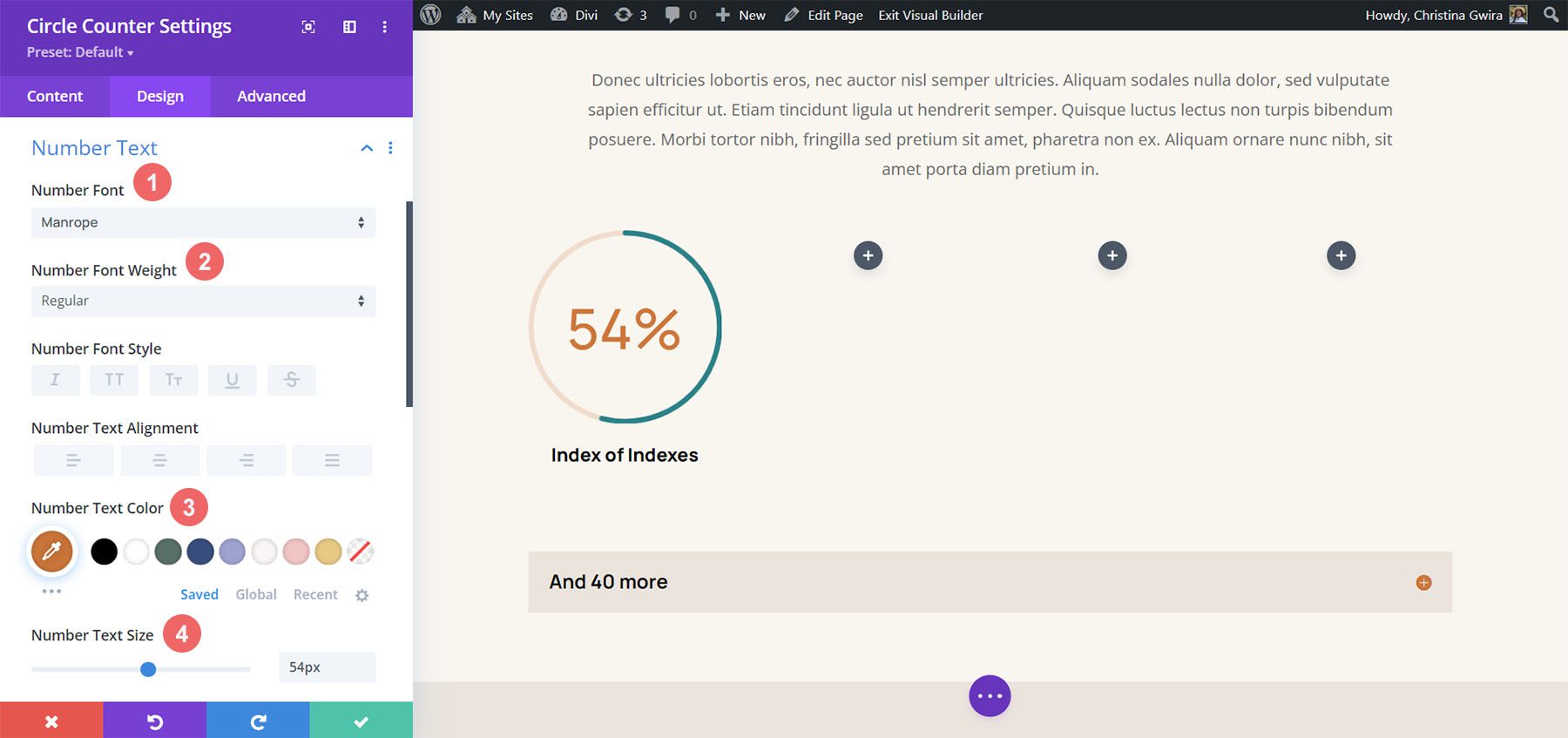 Circle Counter Module Divi Hostel의 숫자 글꼴 스타일