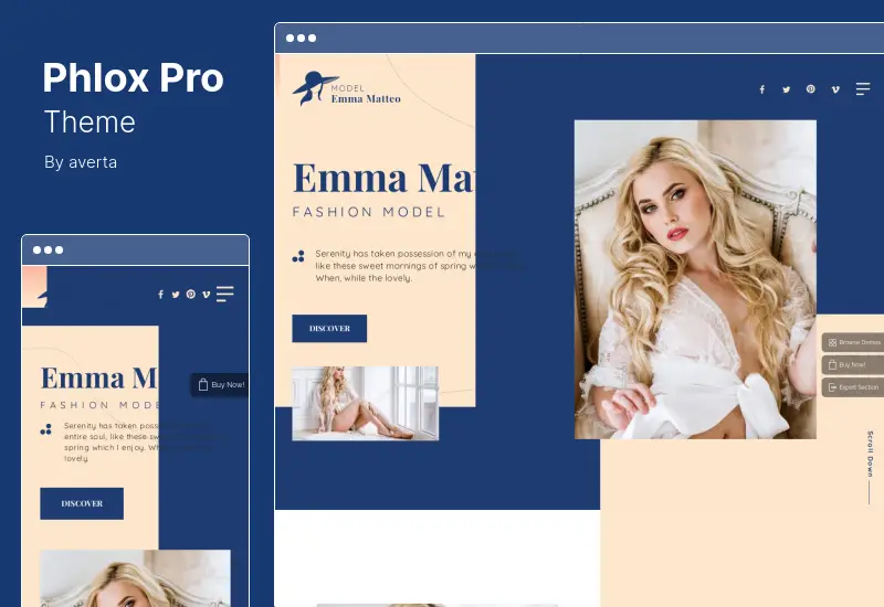 Phlox Pro Theme - Tema WordPress Multiuso Elementor