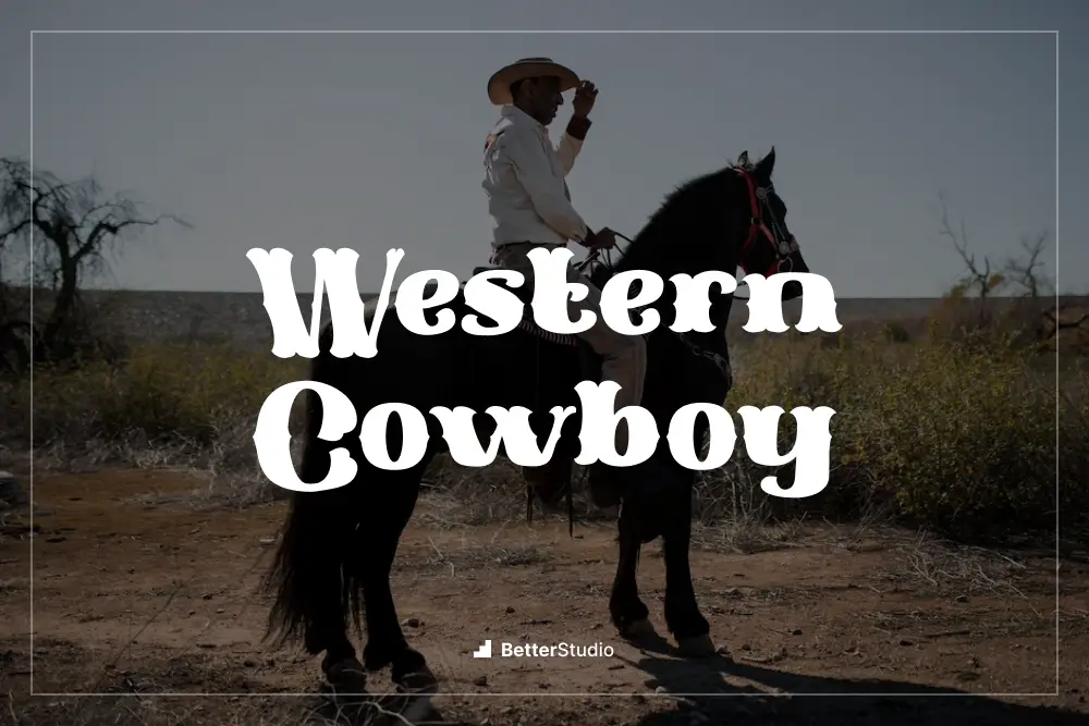 Western Cowboy -