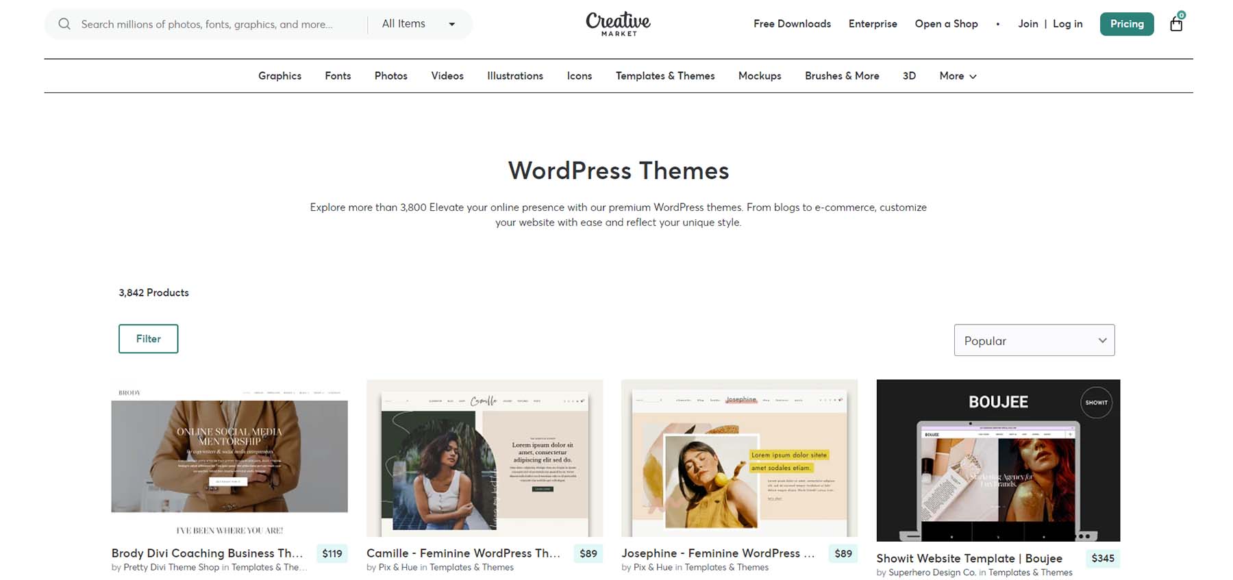 Teme WordPress Creative Market