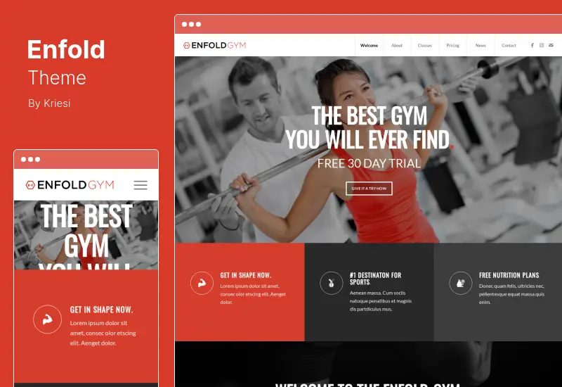 Enfold Theme - Tema WordPress multiuso responsivo