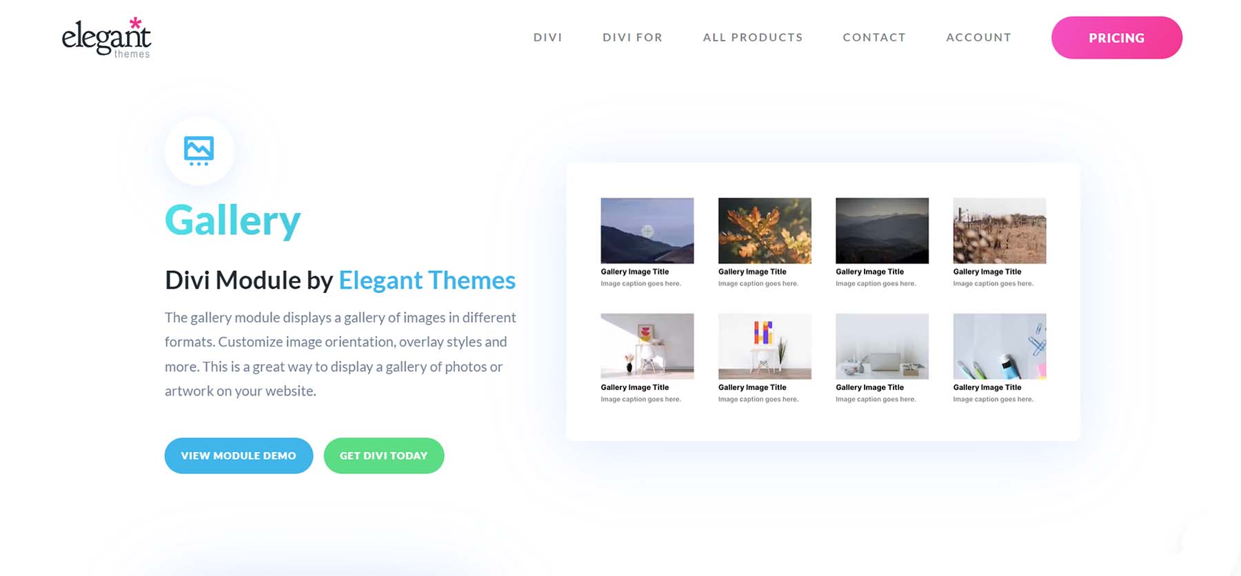 Divi Gallery-Modul