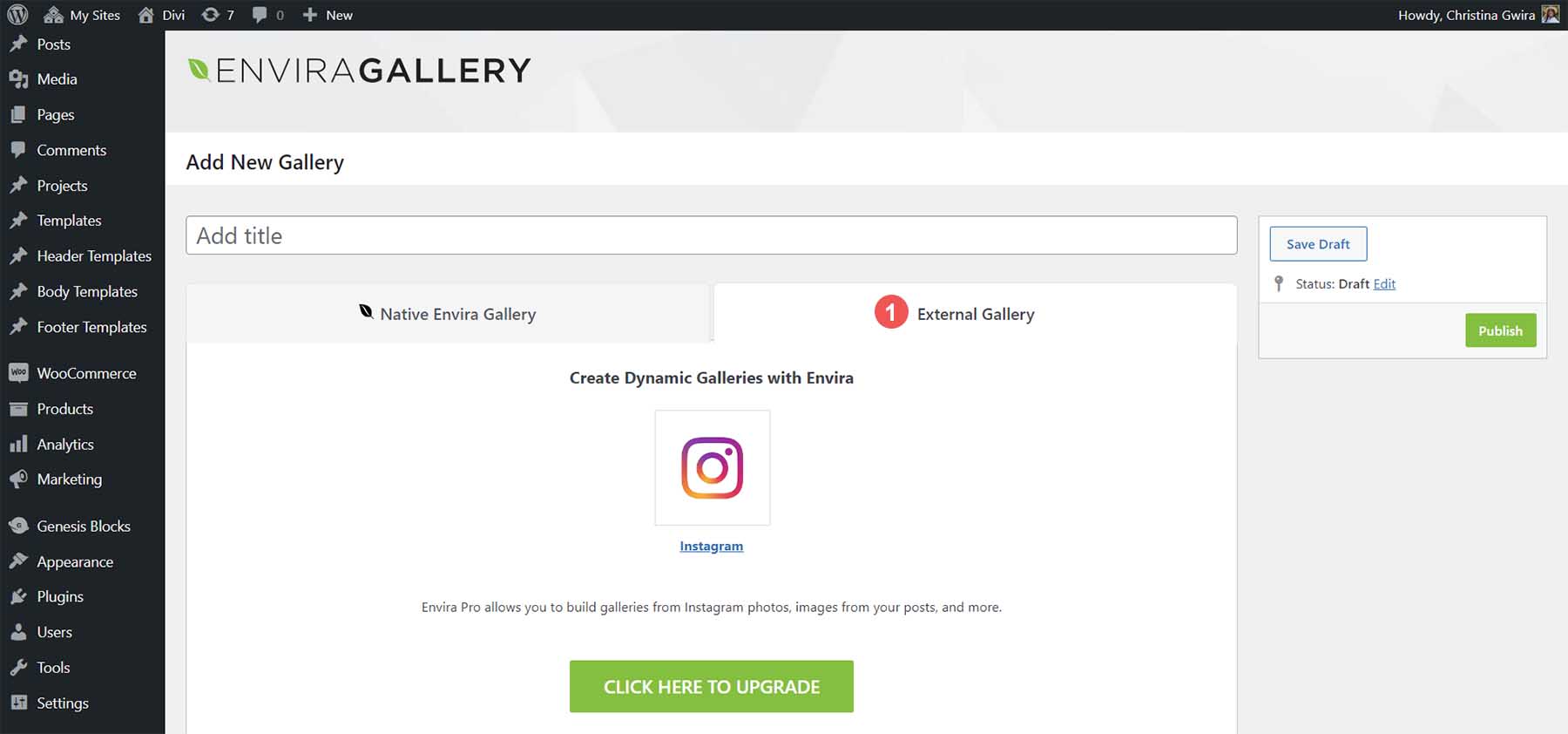 Envira Gallery ve Instagram entegrasyonu