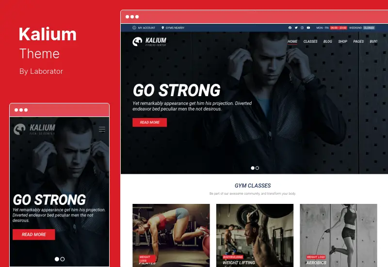 Kalium Theme - 크리에이티브 다목적 WordPress 및 WooCommerce 테마