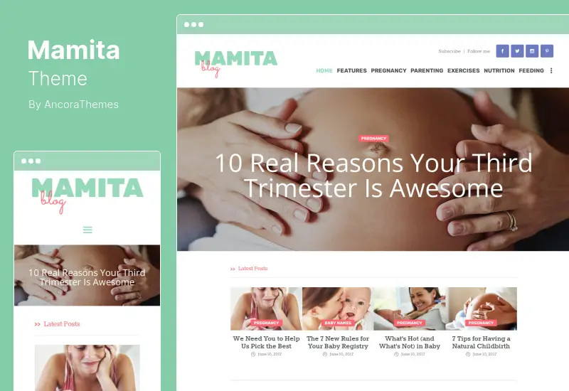 Mamita Theme - 임신 및 출산 Cinique Blog WordPress Theme