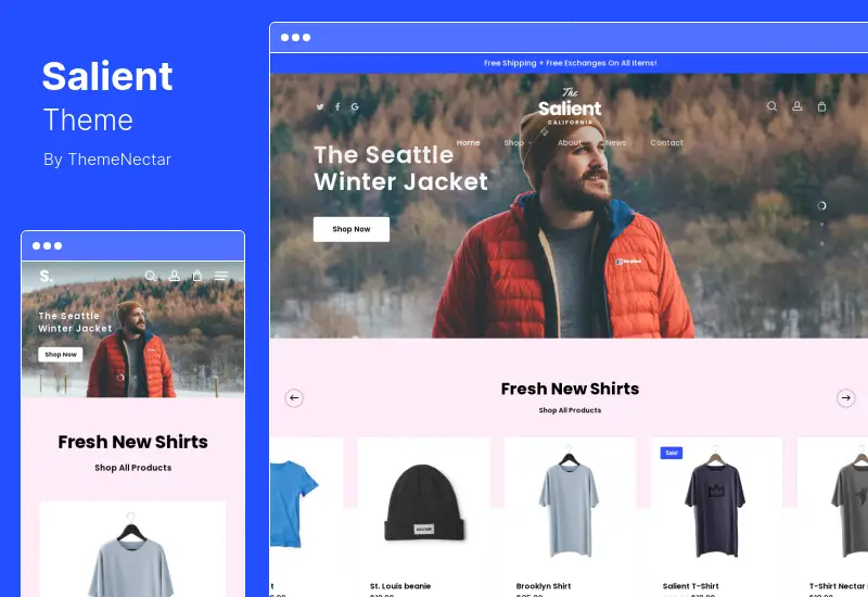 Salient Theme - Tema creativo multipropósito y WooCommerce