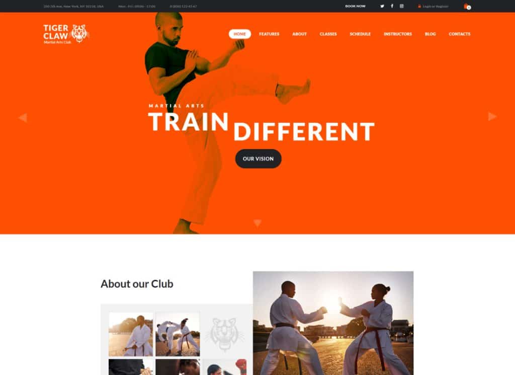 Tiger Claw - 무술 학교 및 피트니스 센터 WordPress Theme