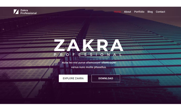 Zakra Professional