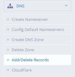 Внутри DNS перейдите в раздел «Добавить/удалить записи».