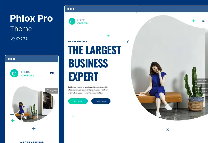 Tema Phlox Pro - Tema WordPress multiuso Elementor