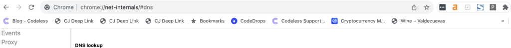 accéder à chrome://net-internals/#dns