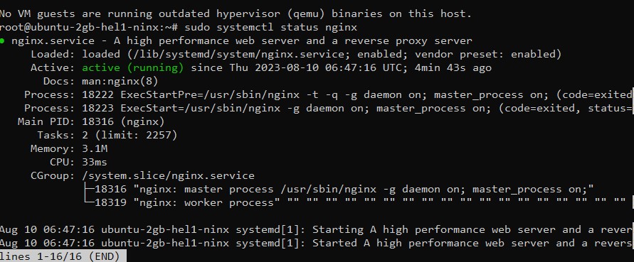 status nginx