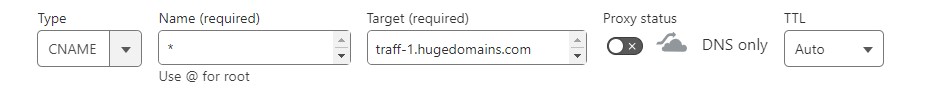 DNS uniquement