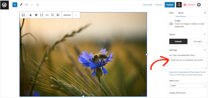 Adding alt text to a WordPress image