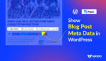 How to Show Blog Post Meta Data in WordPress