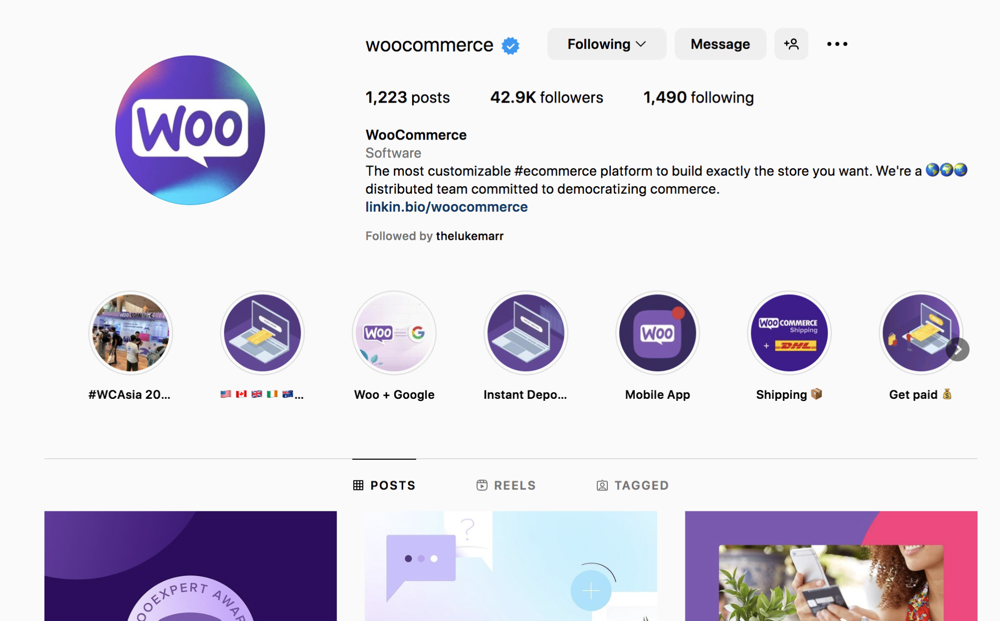 WooCommerce Instagram - 業務增長的熱門選擇