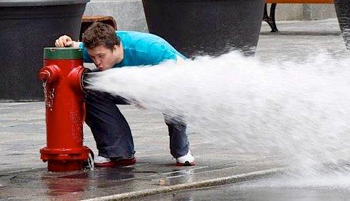 Tratando de beber de una manguera contra incendios