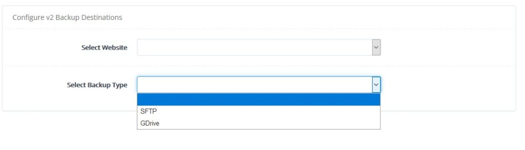 witryna internetowa, typ kopii zapasowej