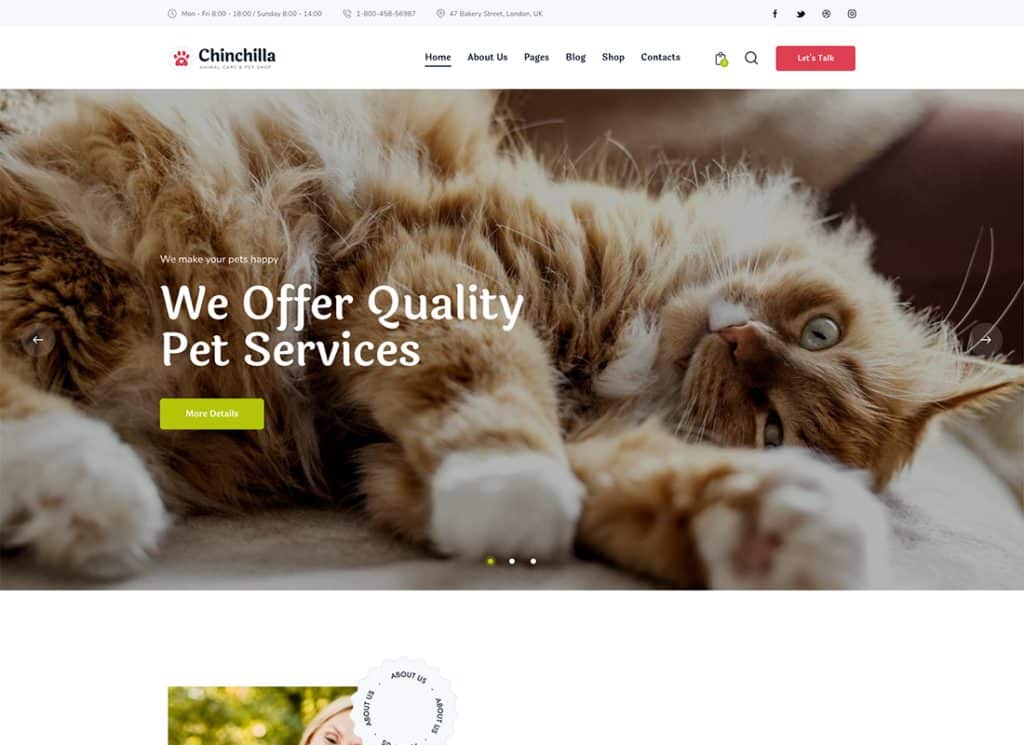 Chinchilla - 動物護理和寵物店 WordPress 主題