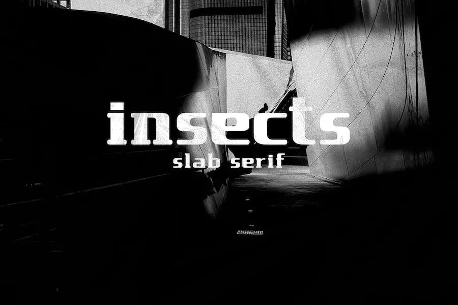 insecta -