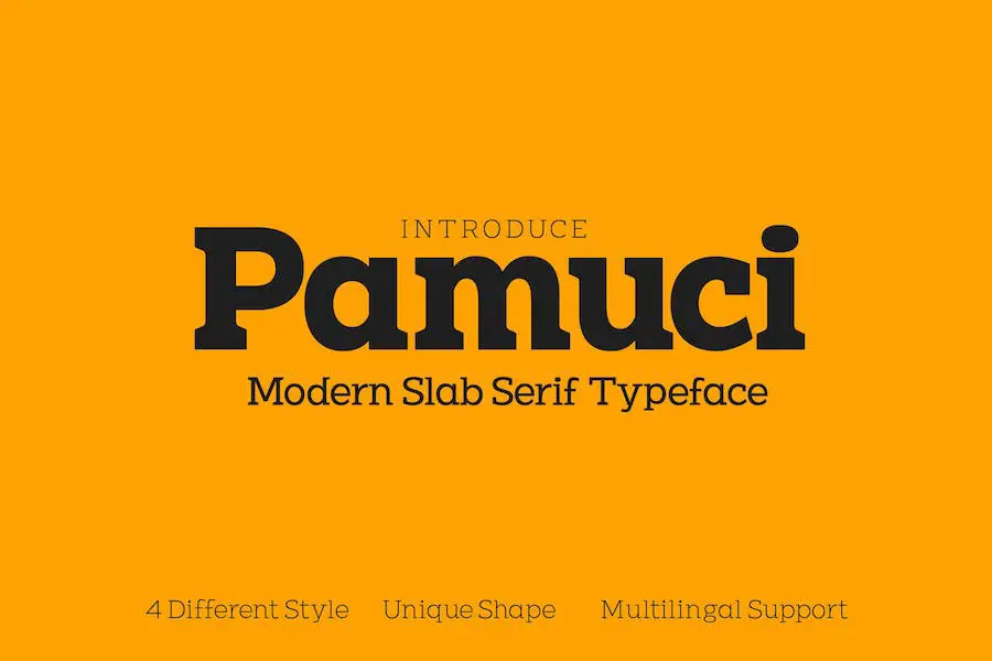 Pamuci -