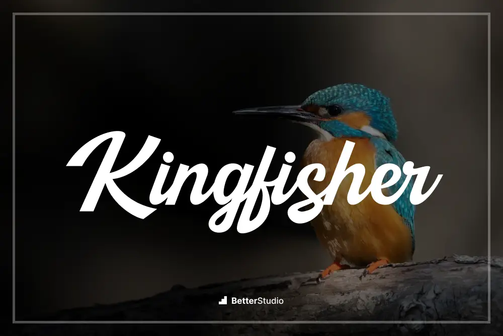 Kingfisher -