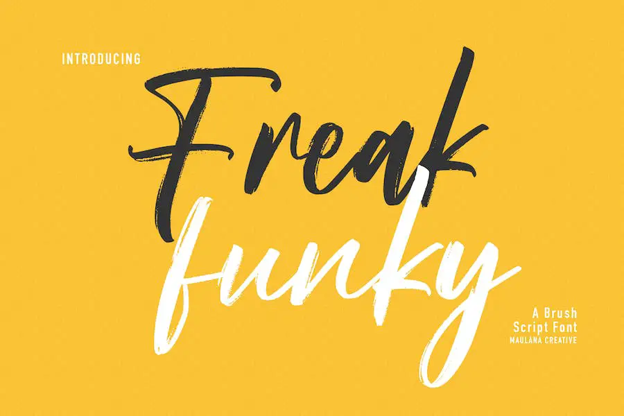 Freak Funky -