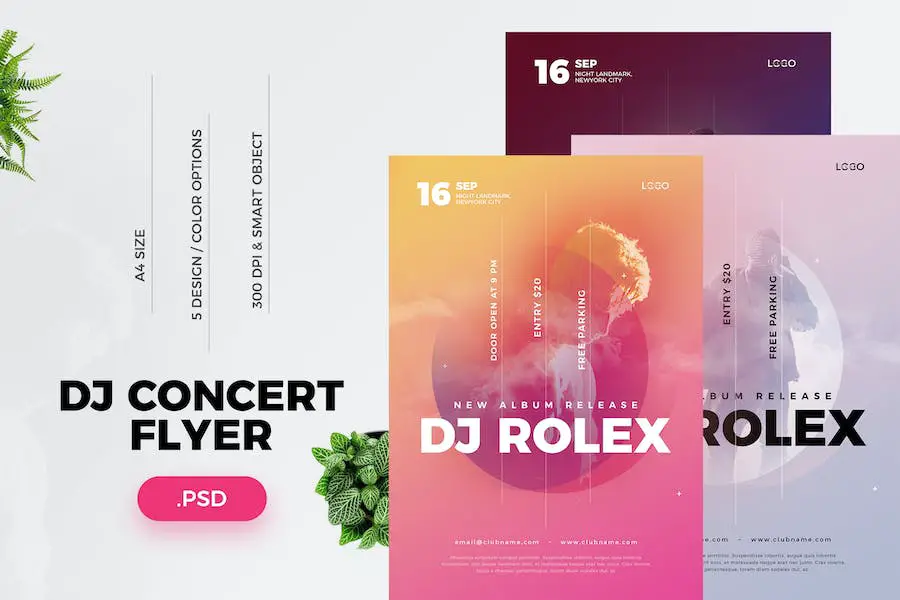 Folleto del concierto de DJ -