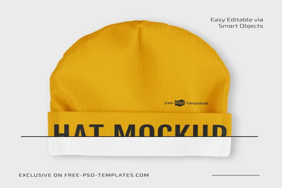 MODELLI GRATUITI DI CAPPELLI INVERNALI IN PSD -