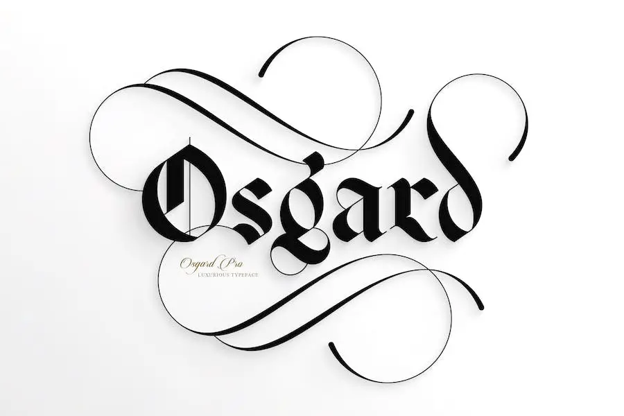 Osgard Pro