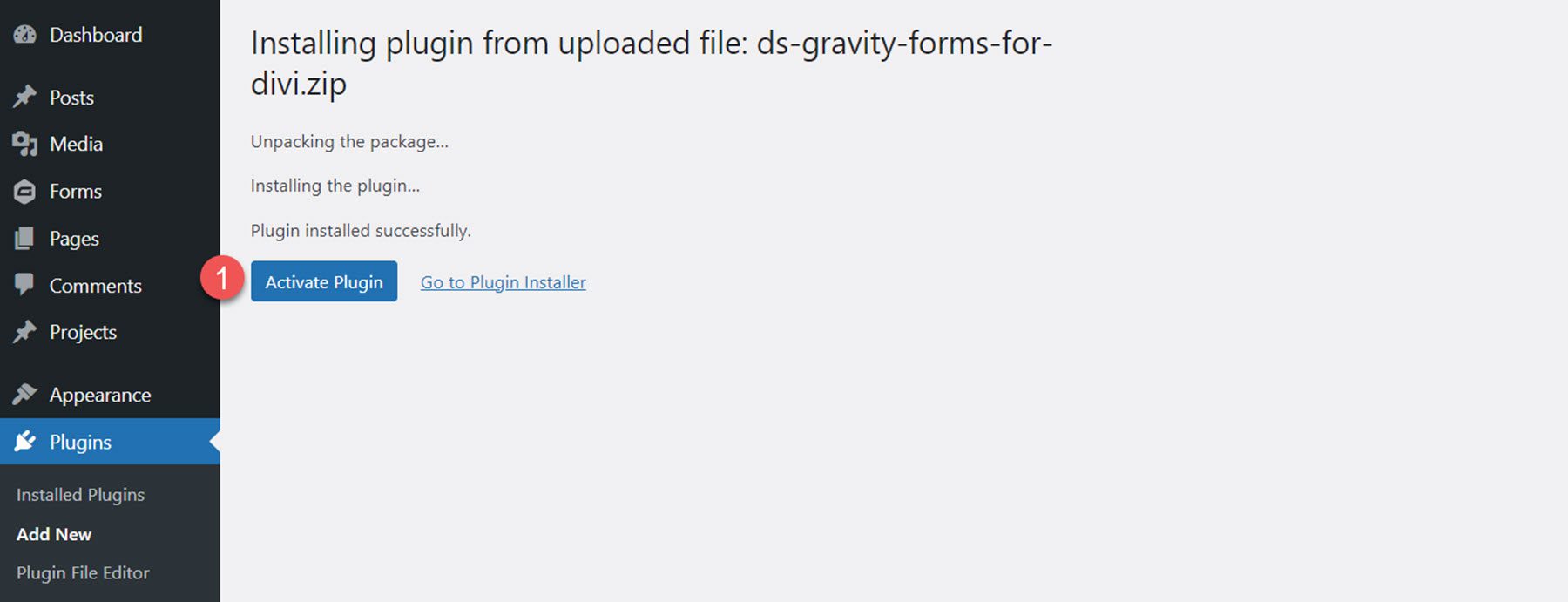 Activar el módulo Gravity Forms Styler para Divi