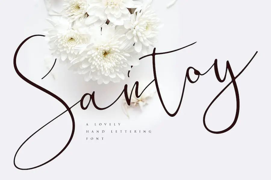 Santoy -