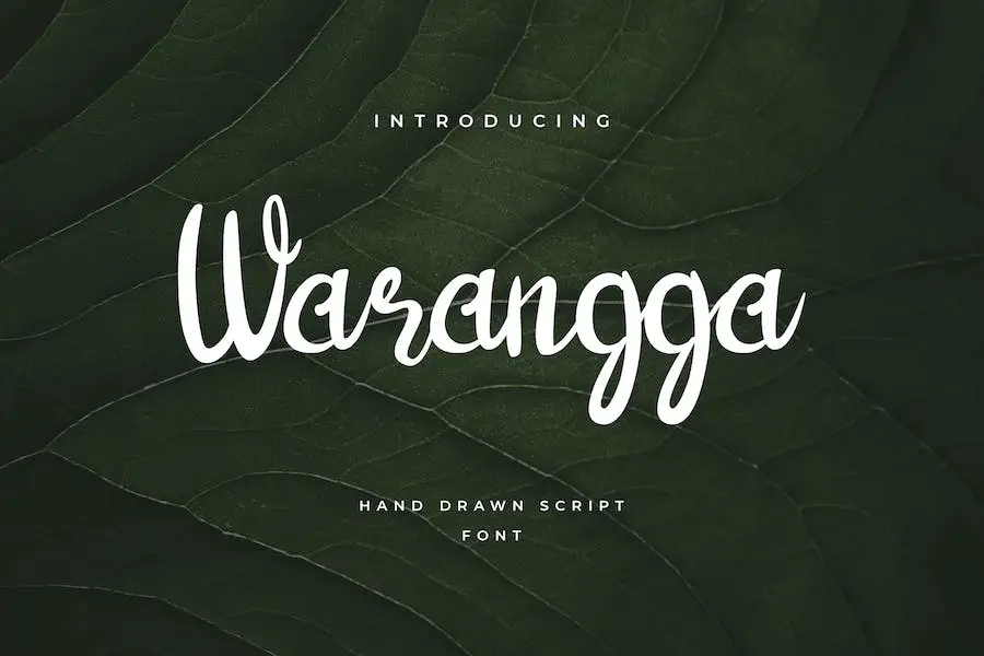 Warangga -