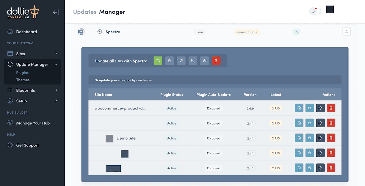 Un ecran extins Manager de actualizări pentru o anumită instalare de plugin.