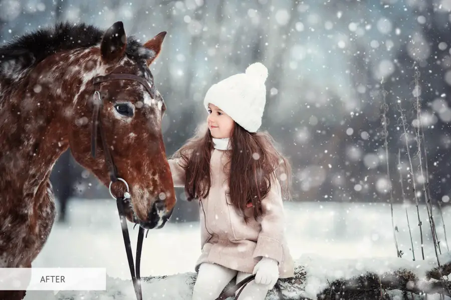 Action de neige Photoshop -