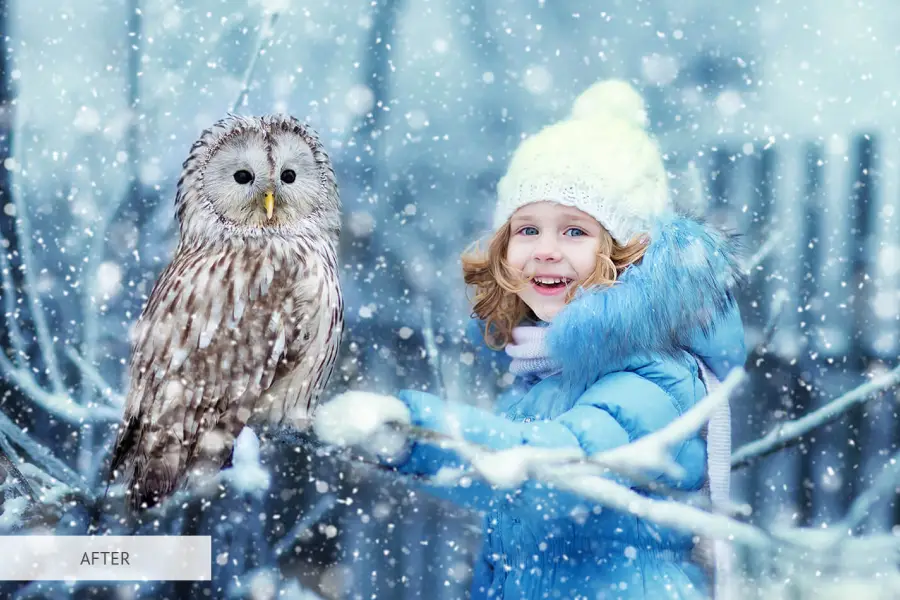 Action de neige Photoshop -