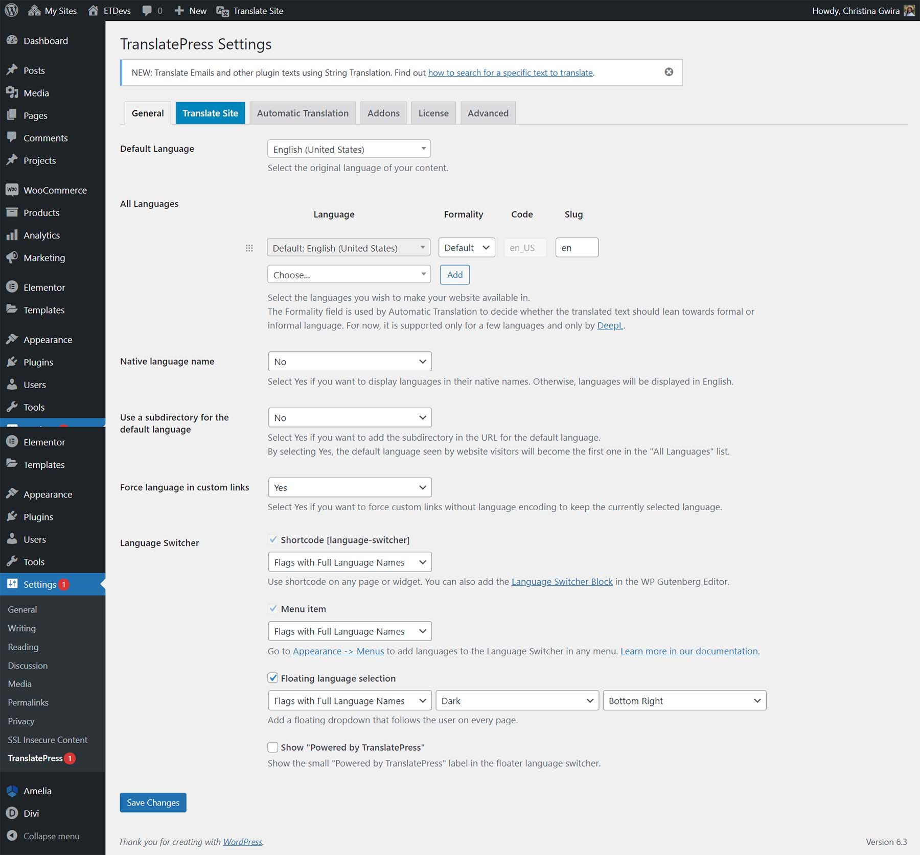 Pengaturan TranslatePress default