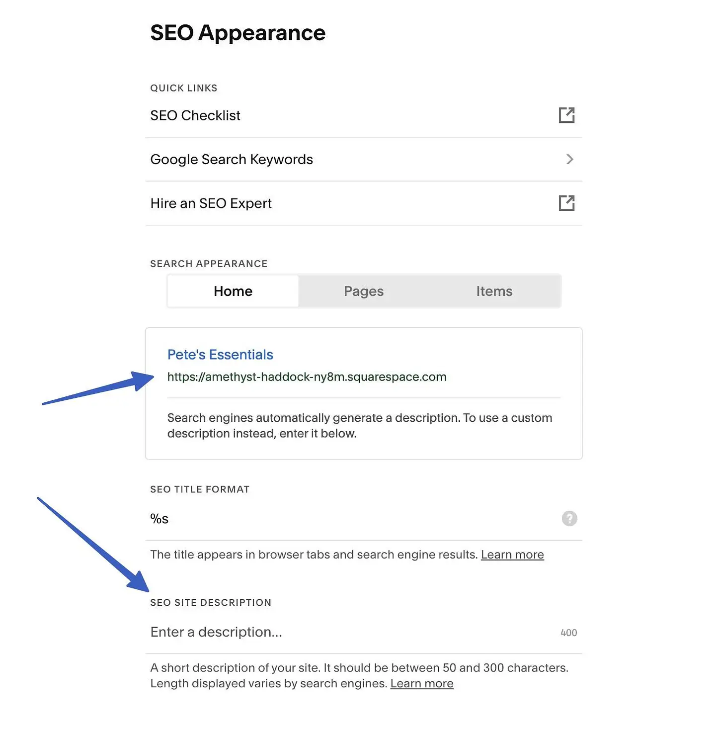 我們的 Squarespace 電子商務評論中的 SEO 選項。