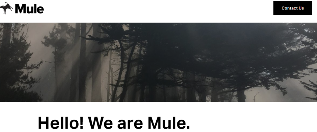 conception de mule