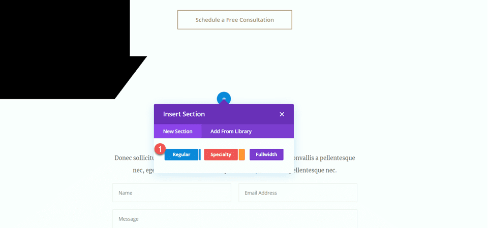 Divi verwendet das Divider-Modul, um ein Gleichgewicht im Design des neuen Abschnitts zu schaffen