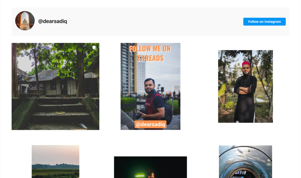 Feed de Instagram en el sitio web