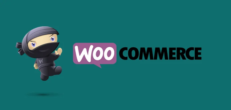 complementos-de-comercio-e-e-woocommerce