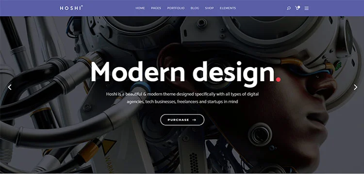 Hoshi – Tema para Agências Digitais e Freelancers