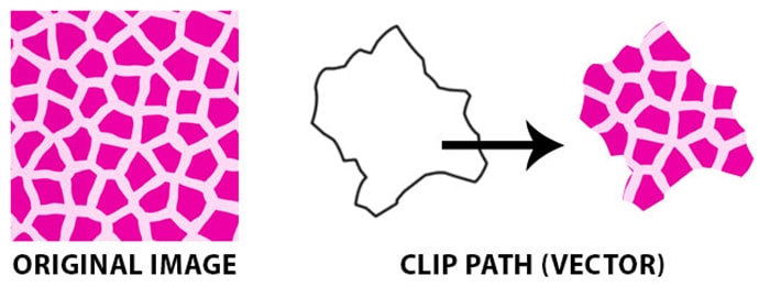 Gráfico que mostra a progressão de uma imagem, um caminho de corte de formato irregular e como a imagem mudou após ser cortada