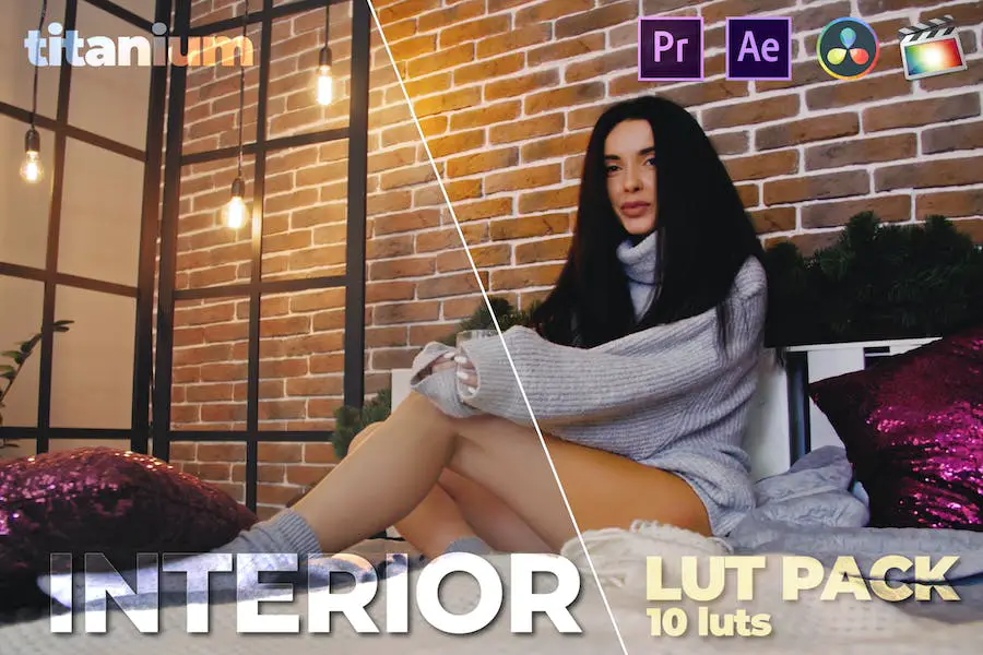 티타늄 인테리어 LUT 팩(10 LUT) -